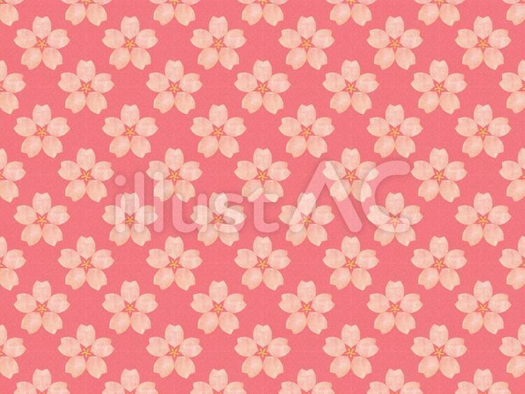 桜の背景7 桜,さくら,サクラのイラスト素材