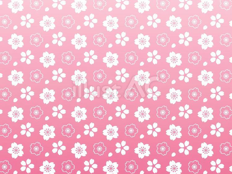 桜が舞うシームレスパターン背景素材 春,桜,さくらのイラスト素材