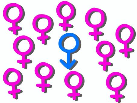 モテ期 男性マーク,女性マーク,性別マーク,水色,ピンク,一夫多妻制,一夫多妻のイラスト素材