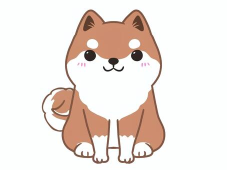 おすわり柴犬 柴犬,犬,赤柴,動物,イヌのイラスト素材