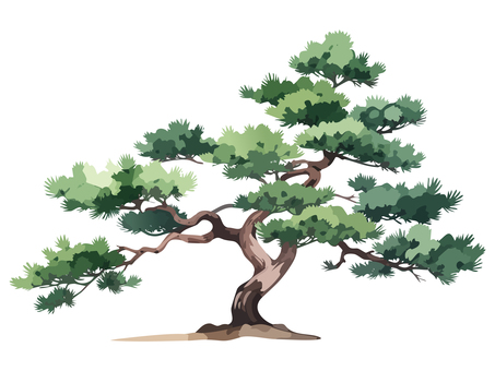 松の木 木,樹木,植物,ツリー,自然,松,アカマツ,マツ,日本,かわいいのイラスト素材