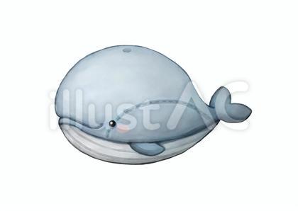 クジラ ぬいぐるみイラスト