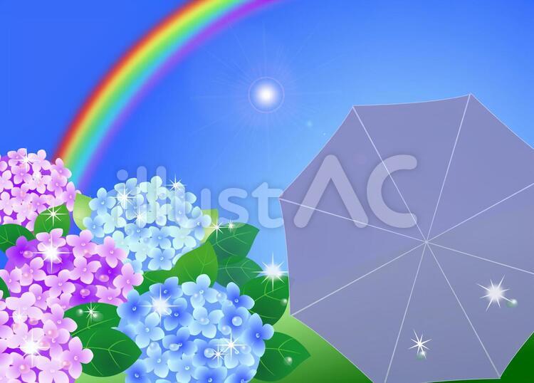 梅雨の晴れ間の雨上がり 紫陽花,梅雨,雨上がりのイラスト素材