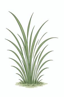 草の束のイラスト