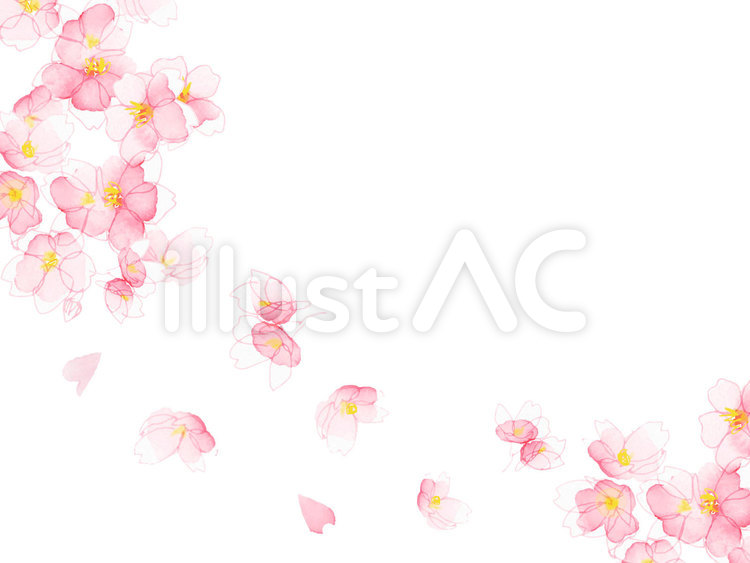 桜の背景01 桜,背景,水彩のイラスト素材