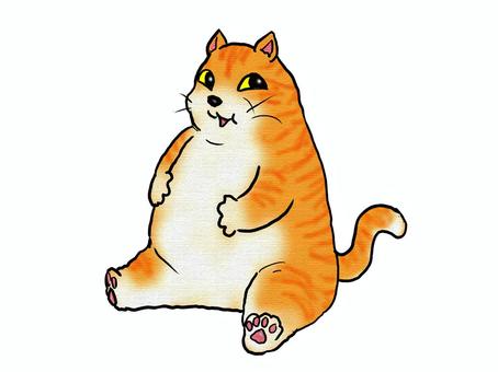 本当にかわいいと思ってる？ 動物,猫,猫赤,おデブ,かわいい,全身,手書き,しっぽのイラスト素材