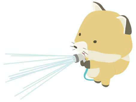 水撒き_狐 水撒き,狐,笑顔,動物,かわいい,散水,ホース,水,打ち水のイラスト素材