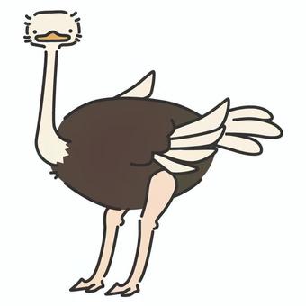 Cute Ostrich, JPG, PNG and AI Cute Ostrich, , JPG, PNG and AI