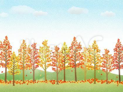 紅葉の林の背景