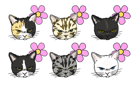 Illustration, cat, pheasant, sabatra, 