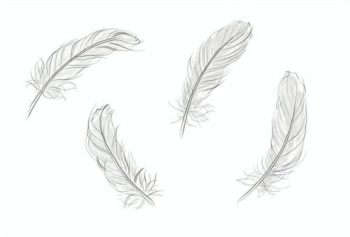 白い羽根 羽根,白,白鳥,鳥,羽毛,天使のイラスト素材