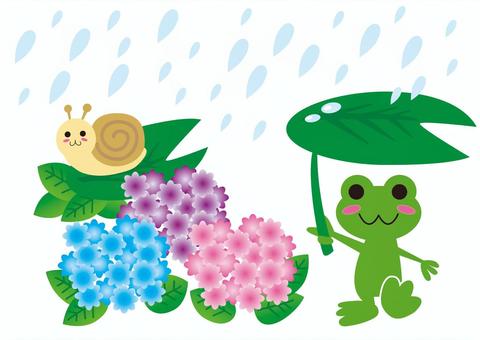 Illustration, rainy season, a frog, snail, 