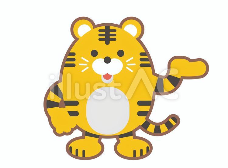 虎のキャラ（男の子・案内） 虎,年賀状,案内のイラスト素材