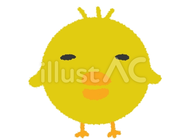 ひよこ　細目 ひよこ,細目,黄色のイラスト素材