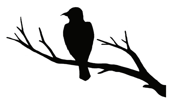 小枝にとまる鳥の後ろ姿 鳥,シルエット,枯枝,生き物,手描き,リアル,モノクロ,挿絵,白バック,線画のイラスト素材