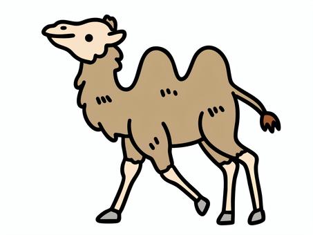 Illustration, camel, futakogurakuda, creatures, 