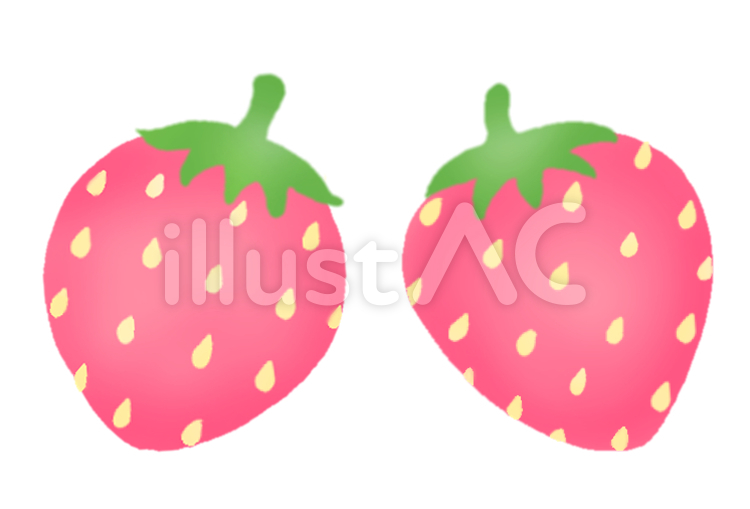 いちご２ いちご,かわいい,果物のイラスト素材