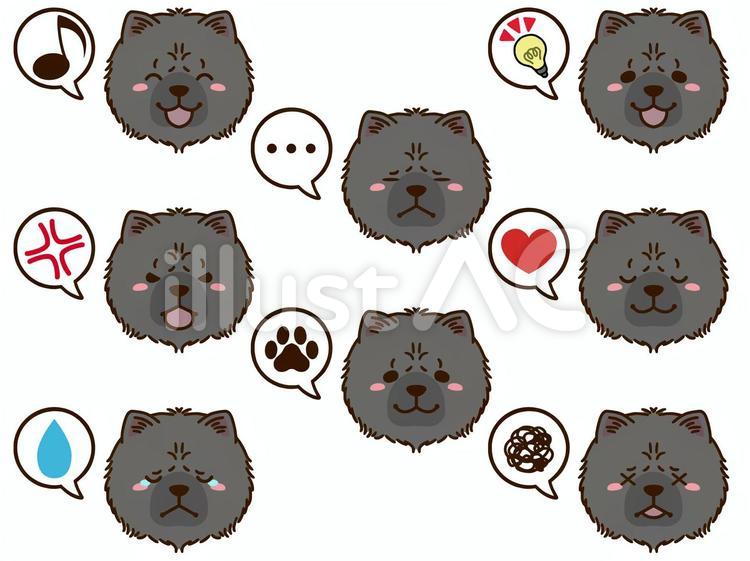 チャウチャウ（黒）の顔アイコン チャウチャウ,犬,動物のイラスト素材