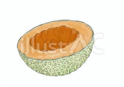 種をくり抜いた赤肉メロン(水彩)