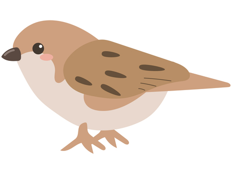 かわいいスズメ すずめ,スズメ,鳥,動物,生き物,かわいい,鳥類,イラスト,ベクター,素材のイラスト素材
