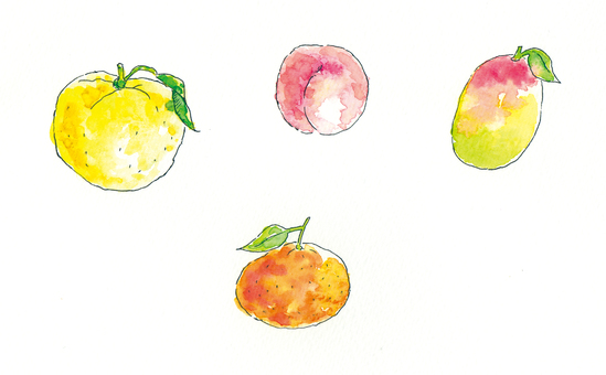 水彩フルーツ フルーツ,果物,桃,マンゴー,オレンジ,ゆず,柚子,水彩のイラスト素材
