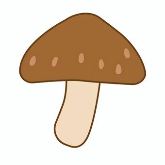 椎茸 食材,食品,特産,名産,秋,旬,きのこ,椎茸,鍋,山のイラスト素材
