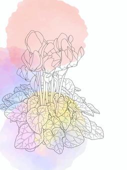 やさしげな背景229＿シクラメンの花 花,シクラメン,クリスマス,冬の花,贈り物,お歳暮,年末年始,壁紙,冬,背景のイラスト素材