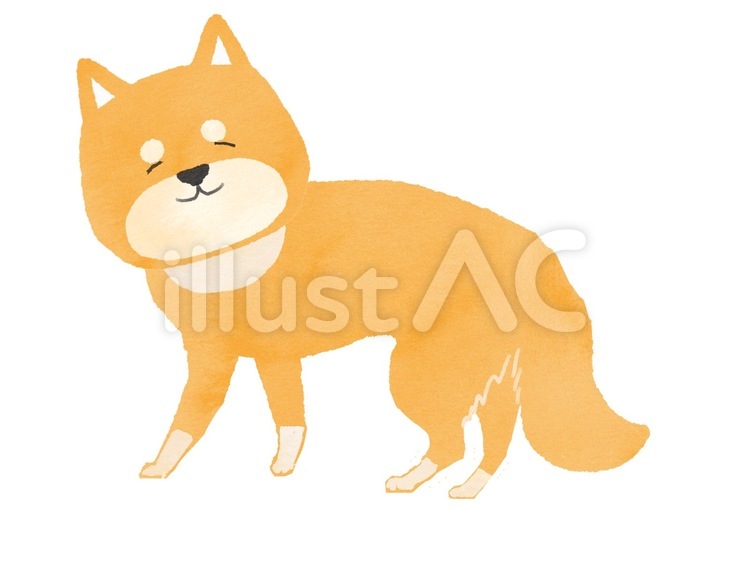 筋力の低下した犬のイラスト 犬,老犬,柴犬のイラスト素材