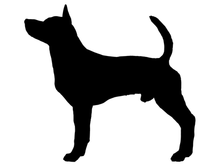 台湾犬　シルエット 台湾犬,犬,中型犬のイラスト素材