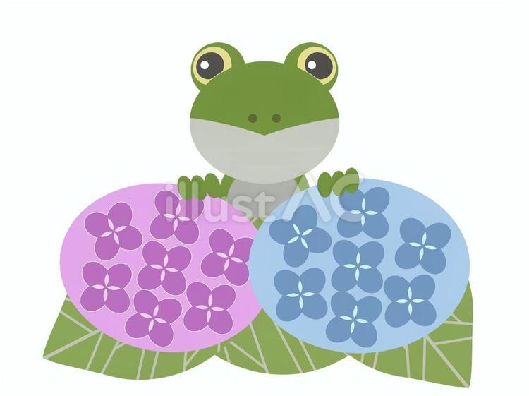 あじさいとカエル 紫陽花,梅雨,カエルのイラスト素材