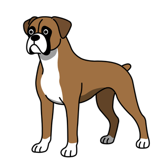 ボクサー犬