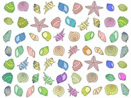 Seashell variety Seashell variety