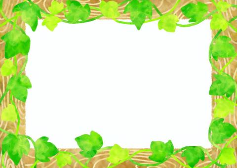 Photo frame, ivy, frame, leaf, JPG and PNG