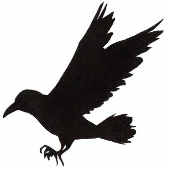Crow 9, JPG and PNG Crow 9, crow, bird, creatures, JPG and PNG