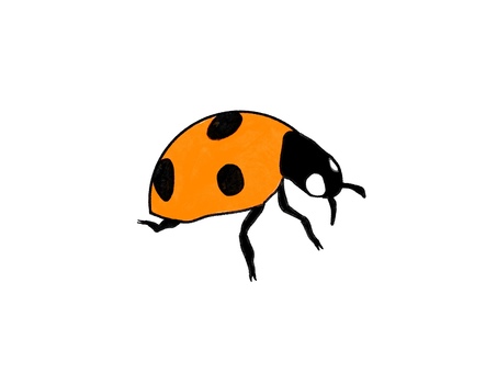 てんとう虫 虫,虫とり,てんとう虫,昆虫,ゆるい,手書き,可愛いのイラスト素材