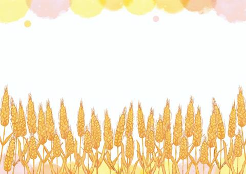 麦畑01 小麦,フレーム,背景,秋,水彩,畑,麦畑,穀物,麦,実りの秋のイラスト素材