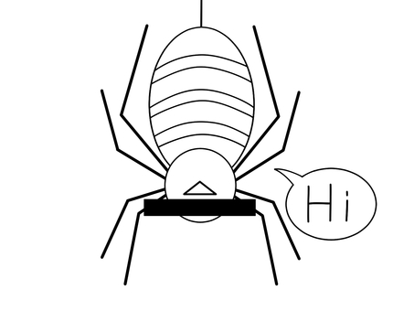 嫌いなあいつ　クモ　色なし 蜘蛛,虫,害虫,蜘蛛の糸,多足,モノクロ,線画,シンプル,手描き,目線のイラスト素材