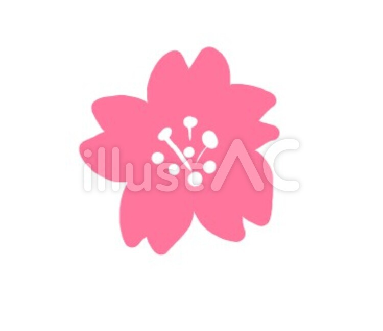 さくら 桜,花,はるのイラスト素材