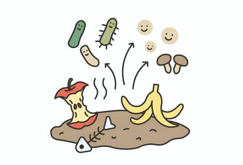 コンポストで微生物が生ごみを分解する図 コンポスト,生ごみ,微生物,分解,発酵,有機ごみ,腐葉土のイラスト素材
