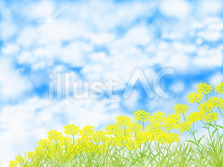 おみなえし 花,秋,風景のイラスト素材