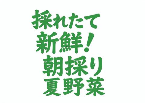 採れたて新鮮！朝採り夏野菜 緑