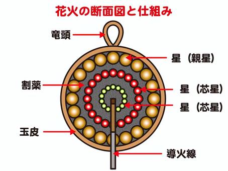 花火玉の断面図の図解説明イラスト素材 花火玉,断面図,玉,花火,火薬,球体,竜頭,割薬,玉皮,星のイラスト素材