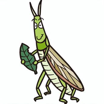 ショウリョウバッタ 虫,昆虫,かわいい,コミカル,マンガチック,ユーモラス,ショウリョウバッタのイラスト素材