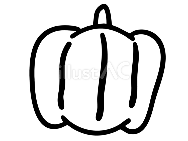 線画のかぼちゃ 線画,かぼちゃ,野菜のイラスト素材