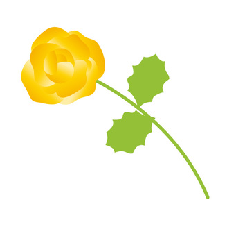 Yellow rose, , JPG, PNG and EPS