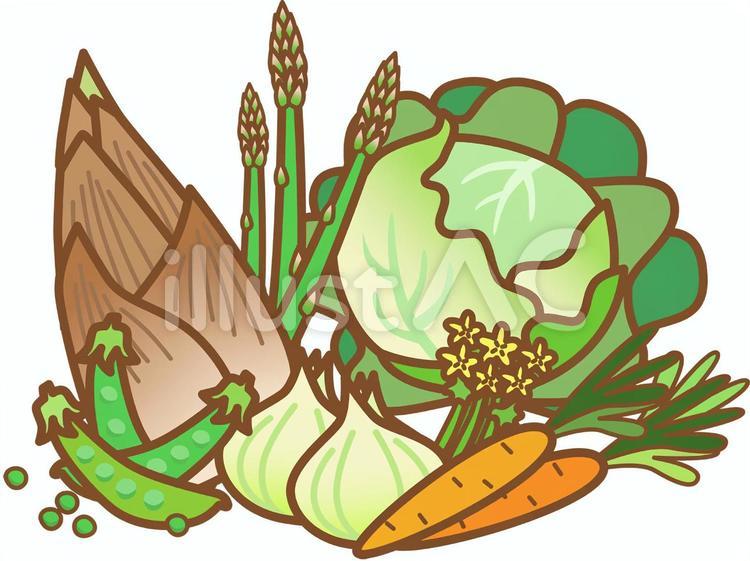 春が旬の野菜 春野菜,野菜,春のイラスト素材