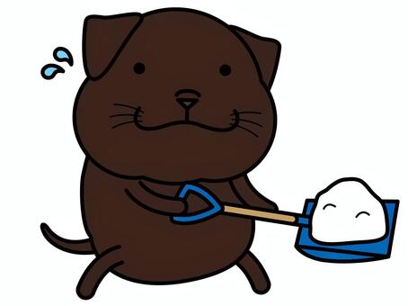 チョコラブさん 雪かき 雪かき,除雪,雪ハネ,チョコラブ,ラブラドール,ラブラドールレトリバー,雪,スコップ,犬,動物のイラスト素材