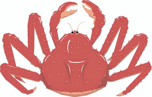 Illustration, king crab, hermit crabs, arthropod, 