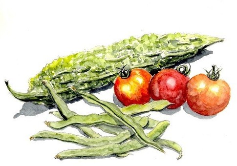 Summer vegetable, القرع المر, طماطم, فاصوليا خضراء, JPG and PNG