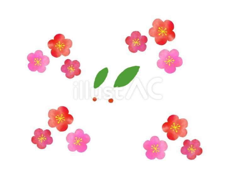 雪うさぎと梅の花 ウサギ,動物,干支のイラスト素材